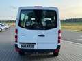 Mercedes-Benz Sprinter II Kombi 311 / 315 CDI KLIMA 9 Sitze White - thumbnail 5