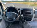 Mercedes-Benz Sprinter II Kombi 311 / 315 CDI KLIMA 9 Sitze White - thumbnail 10