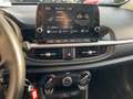 Kia Picanto 1.0 VISION CONNECT Automatik Allwetter Grau - thumbnail 11