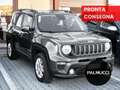 Jeep Renegade Renegade 1.0 t3 Longitude 2wd - thumbnail 3