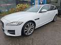 Jaguar XF Sportbrake R-Sport AWD Blanc - thumbnail 6