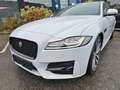 Jaguar XF Sportbrake R-Sport AWD Blanc - thumbnail 1