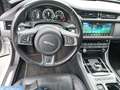 Jaguar XF Sportbrake R-Sport AWD Blanc - thumbnail 12