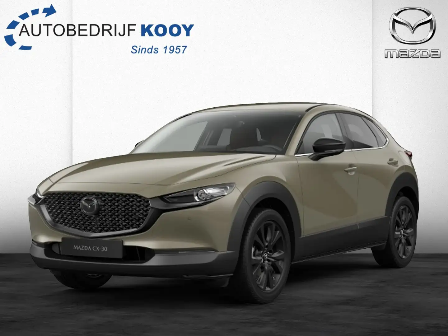 Mazda CX-30 2.5 e-SkyActiv-G 140 Nagisa / Automaat Brown - 1