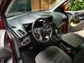 Ford Tourneo Tourneo TDCi Rojo - thumbnail 9
