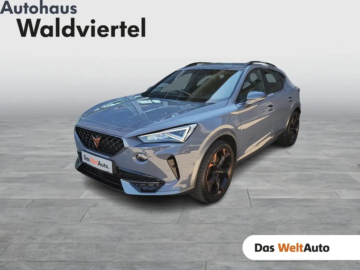 CUPRA Formentor VZ e-HYBRID 245 PS DSG Grau - 1