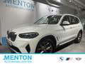 BMW X3 xDrive20i RFK/Panorama/HiFi/Komf.Zugang Weiß - thumbnail 1