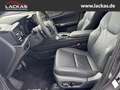Lexus NX 450h+ h+ Luxury*LED*360*ML*Pan orama*4x4*Allwetter* Gris - thumbnail 9