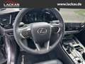 Lexus NX 450h+ h+ Luxury*LED*360*ML*Pan orama*4x4*Allwetter* Gris - thumbnail 10