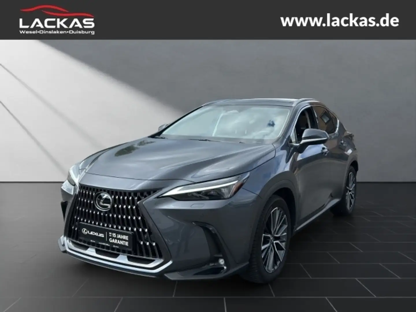 Lexus NX 450h+ h+ Luxury*LED*360*ML*Pan orama*4x4*Allwetter* Gris - 1