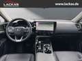 Lexus NX 450h+ h+ Luxury*LED*360*ML*Pan orama*4x4*Allwetter* Gris - thumbnail 13