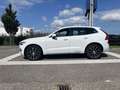 Volvo XC60 Recharge T6 AWD Inscription | Harman/Kardon | 360 Weiß - thumbnail 2