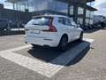Volvo XC60 Recharge T6 AWD Inscription | Harman/Kardon | 360 Weiß - thumbnail 11