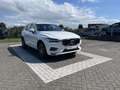Volvo XC60 Recharge T6 AWD Inscription | Harman/Kardon | 360 Weiß - thumbnail 14