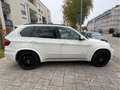 BMW X5 Baureihe X5 xDrive40d / M Paket Wit - thumbnail 7