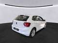 Volkswagen Polo Highline 1.0TSI / Navi, Bluetooth, SHZ, PDC Weiß - thumbnail 2