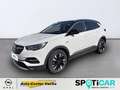 Opel Grandland X 120 Jahre +Navi +AGR Sitz +Kamera Blanc - thumbnail 1