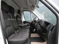 Opel Movano L2H2  Standheizung 270° Sitzheizung Biały - thumbnail 8