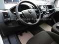 Opel Movano L2H2  Standheizung 270° Sitzheizung Bílá - thumbnail 11