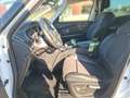 Renault Scenic RENAULT SCENIC ENERGY dCi 110 EDC BOSE Weiß - thumbnail 5