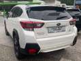 Subaru XV 2,0i e-Boxer CVT Style Now Allrad Aut. Weiß - thumbnail 3