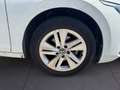 Volkswagen Golf 1.0 eTSI Life DSG 81kW Blanc - thumbnail 13