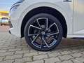 Skoda Kamiq Monte Carlo  1.0 TSI # 7-Gang-DSG Weiß - thumbnail 14