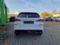Skoda Kamiq Monte Carlo  1.0 TSI # 7-Gang-DSG Weiß - thumbnail 4