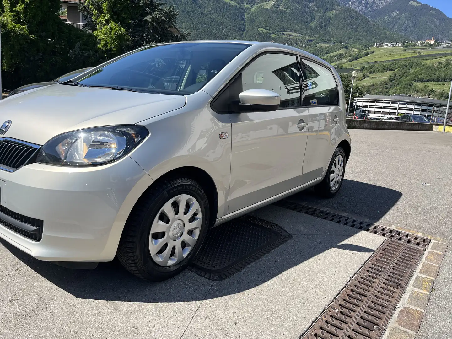Skoda Sonstige - 2
