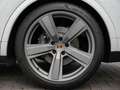 Porsche Cayenne E-Hybrid Coupé SPORTDESIGN-ACC-LUFTF.-PANO-VOLL Blanc - thumbnail 16