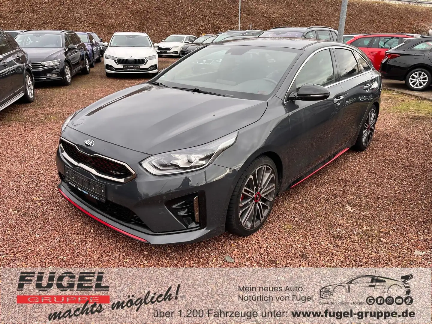 Kia ProCeed / pro_cee'd 1.6 T-GDI DCT GT Komfort|Navi|LED|JBL Gris - 1