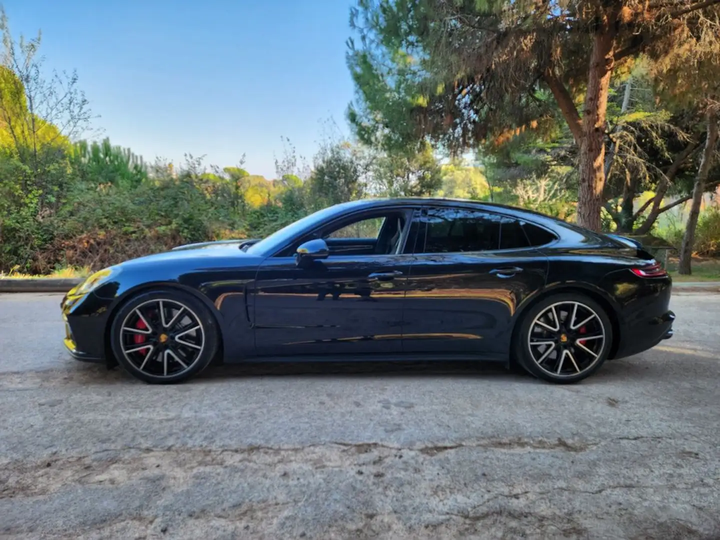Porsche Panamera PORSCHE PANAMERA II TURBO V8 550 CH - 2