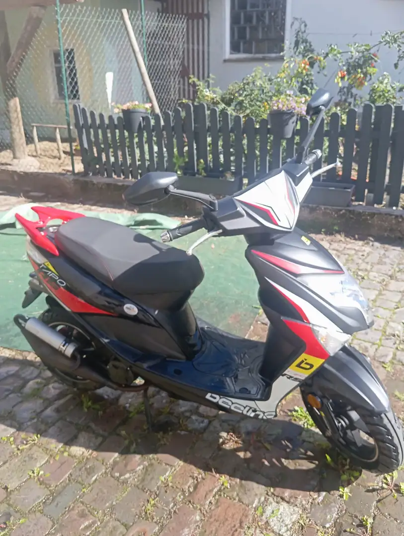 Beeline Tapo Czerwony - 1