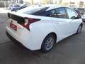 Toyota Prius 1,8-I-VVT Hybrid, Autom, Allradantrieb White - thumbnail 7