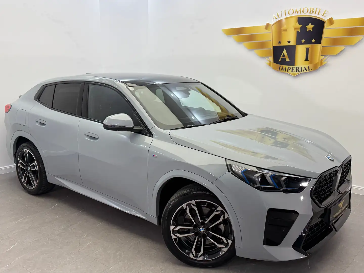 BMW X2 sDrive20i U10 48V//M-PAKET//1. BESITZ //HEAD-UP// Grau - 1