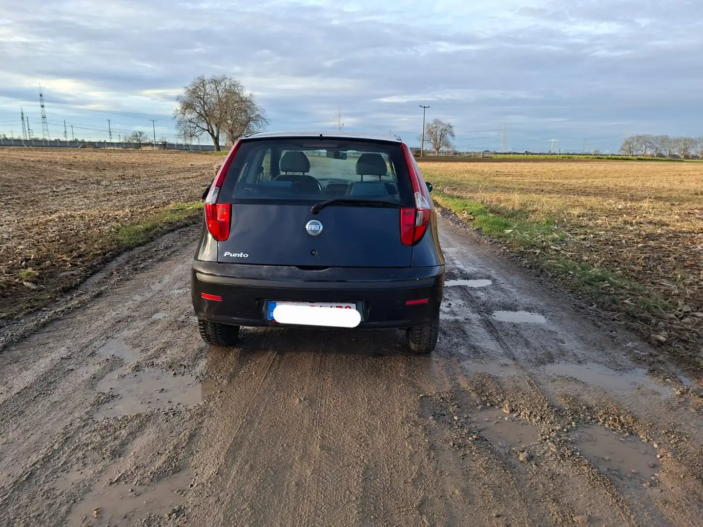 Fiat Punto 1.2 8V Active Clima Schwarz - 2