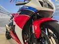 Honda CBR 1000 "Fireblade" Km 23500 - thumbnail 17