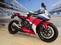 Honda CBR 1000 "Fireblade" Km 23500 - thumbnail 3
