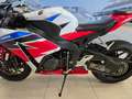 Honda CBR 1000 "Fireblade" Km 23500 - thumbnail 21