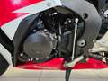Honda CBR 1000 "Fireblade" Km 23500 - thumbnail 22