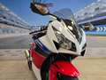 Honda CBR 1000 "Fireblade" Km 23500 - thumbnail 20