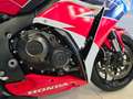 Honda CBR 1000 "Fireblade" Km 23500 - thumbnail 13
