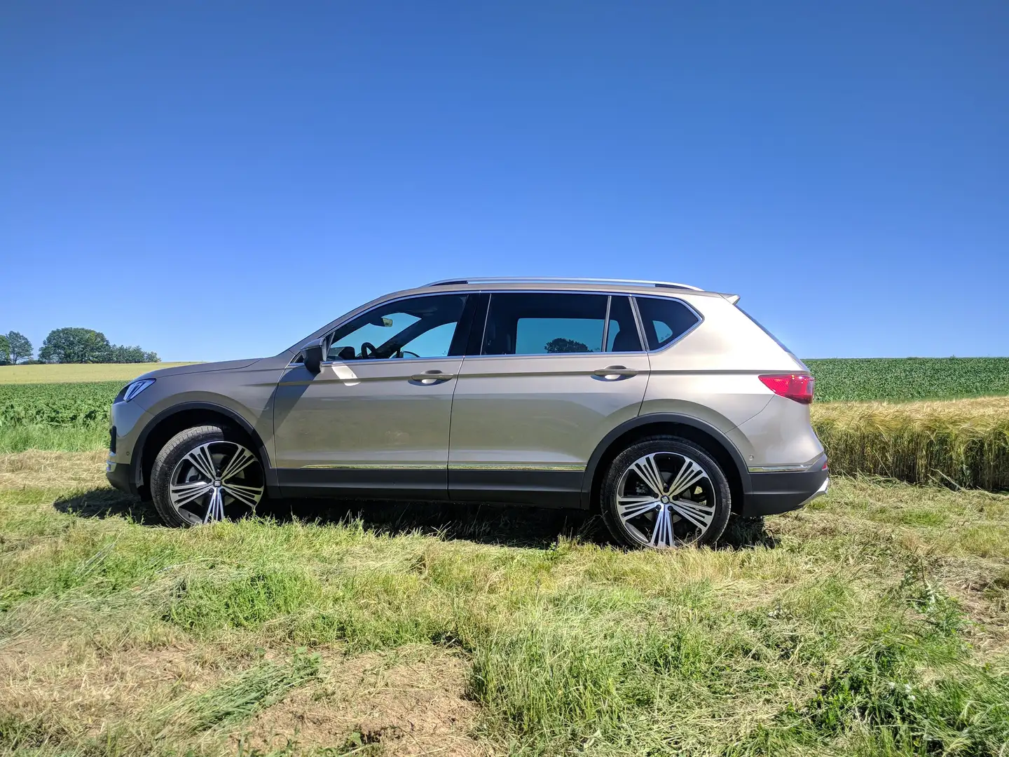 SEAT Tarraco Tarraco 2.0 TSI 4Drive DSG OPF Xcellence Bronze - 2