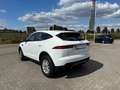 Jaguar E-Pace D150 - 2.0L - 150pk - NAVI - CAMERA Blanc - thumbnail 4
