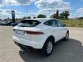 Jaguar E-Pace D150 - 2.0L - 150pk - NAVI - CAMERA Blanc - thumbnail 6