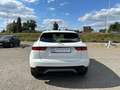 Jaguar E-Pace D150 - 2.0L - 150pk - NAVI - CAMERA Blanc - thumbnail 5