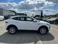 Jaguar E-Pace D150 - 2.0L - 150pk - NAVI - CAMERA Blanc - thumbnail 8