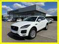 Jaguar E-Pace D150 - 2.0L - 150pk - NAVI - CAMERA Blanc - thumbnail 1