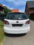 Volkswagen Golf Plus 1.6 TDI DPF Comfortline Bianco - thumbnail 10