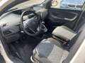 Lancia Ypsilon 1.0 FireFly 5 porte S&S Hybrid Silver Bianco - thumbnail 7